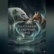 Постер книги Маленький Северный Рай