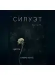 Рустам М. - Силуэт