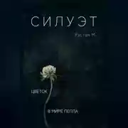 Постер книги Силуэт