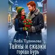 Постер книги Тайны и сказки города Бурь