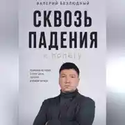Постер книги Сквозь падения к полету