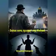Постер книги Белая ночь правды над Мойкой