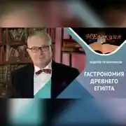 Постер книги История гастрономии Древнего Египта