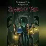 Постер книги Сердца из Тени