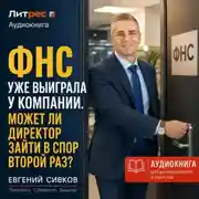 Постер книги ФНС уже выиграла у компании. Может ли директор зайти в спор второй раз?