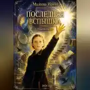 Постер книги Последняя вспышка