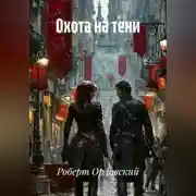 Постер книги Охота на тени.