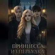 Постер книги Принцесса из переулка