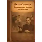 Постер книги Юмористические рассказы о советском быте