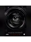 Дмитрий Литвинов - Идеальный снимок