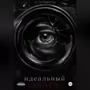 Постер книги Идеальный снимок
