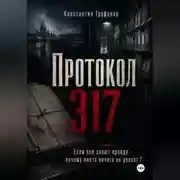 Постер книги Протокол 317