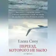 Постер книги Переезд, которого не было