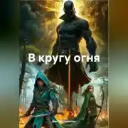 Постер книги В кругу огня