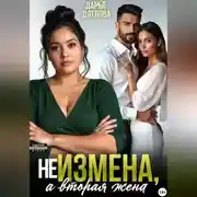 Постер книги НЕ ИЗМЕНА, А ВТОРАЯ ЖЕНА