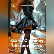 Постер книги Ксана. Стечение обстоятельств