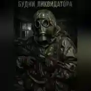 Постер книги Будни ликвидатора
