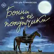 Постер книги Бонни и ее попутчики