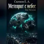 Постер книги Метеорит с небес