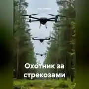 Постер книги ОХОТНИКИ ЗА СТРЕКОЗАМИ
