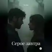 Постер книги Серое завтра