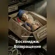 Постер книги Босхомджи.Возвращение
