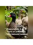 Война Владимир - Индоутки от А до Я: Путь от утёнка до собственной линии