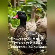 Постер книги Индоутки от А до Я: Путь от утёнка до собственной линии