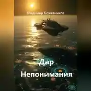 Постер книги Дар Непонимания
