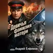 Постер книги Девичья фамилия матери