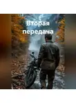 Владимир Кошечкин - Вторая передача