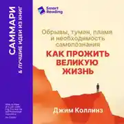 Постер книги Как прожить великую жизнь. Обрывы, туман, пламя и необходимость самопознания. Джим Коллинз. Саммари