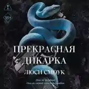 Постер книги Бешеные парни. Прекрасная дикарка