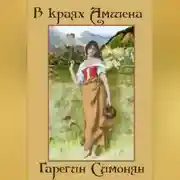 Постер книги В краях Амшена