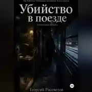 Постер книги Убийство в поезде