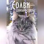 Постер книги Солви - серебро Севера