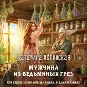 Постер книги Мужчина из ведьминых грез