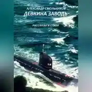 Постер книги Девкина заводь. Рассказы и стихи