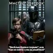 Постер книги Весёлые будни в тюрьме или Как не сойти с ума за решёткой
