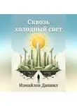 Измайлов Даниил - Сквозь холодный свет