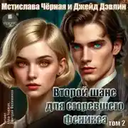 Постер книги Второй шанс для сгоревшего феникса. Том 2