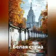 Постер книги Белая стена