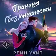 Постер книги Границы (без)опасности