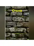 Андрей Истомин - Стена