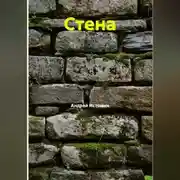 Постер книги Стена