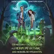 Постер книги Практика по боевой некромантии