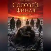 Постер книги Соловей. Финал