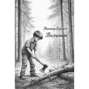 Постер книги Волчонок