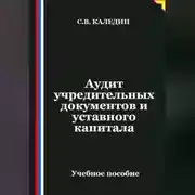 Постер книги Аудит учредительных документов и уставного капитала