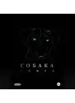 Сергей Орлов - Собака